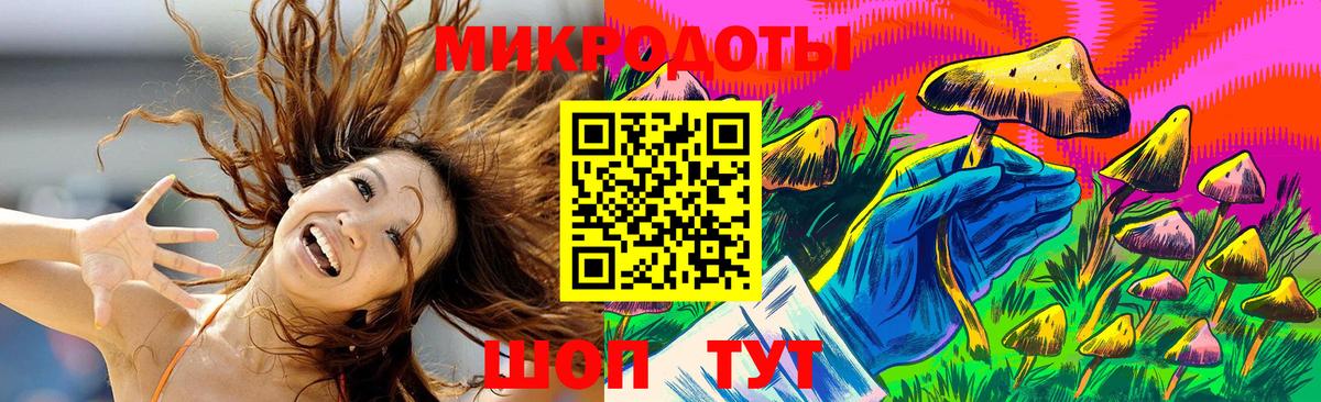 Галлюциногенные грибы Psilocybe  Псилоцибиновые грибы прущие грибы  закладка  Вход с VPN  Шахты 