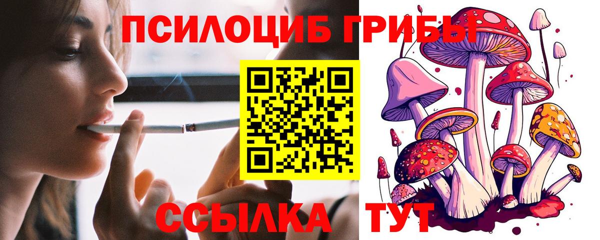 Псилоцибиновые грибы мухоморы Шахты